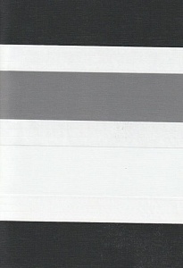 Рулонные шторы день-ночь для проема Салерно, серый 2002 купить в Щелково с доставкой